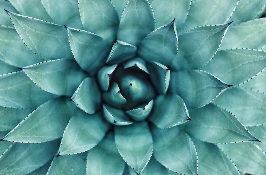 about-feng-shui